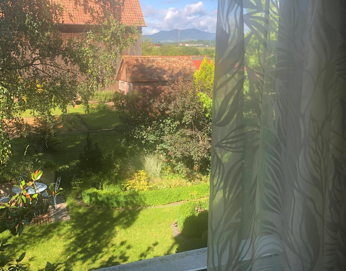 Au Relais De L'Ill Hotel Sermersheim Kültér fotó